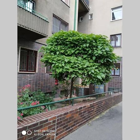 A Cosy Studio In The City Centre 布拉迪斯拉发 外观 照片