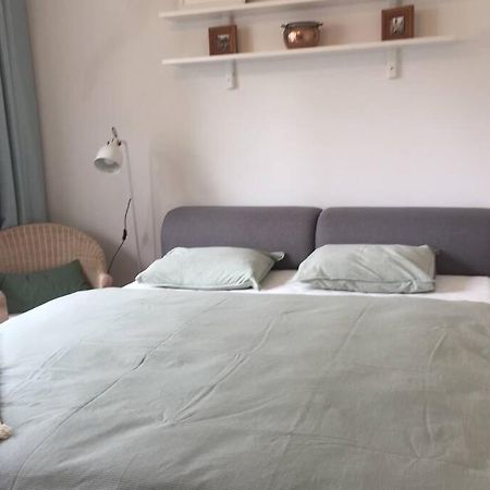 A Cosy Studio In The City Centre 布拉迪斯拉发 外观 照片