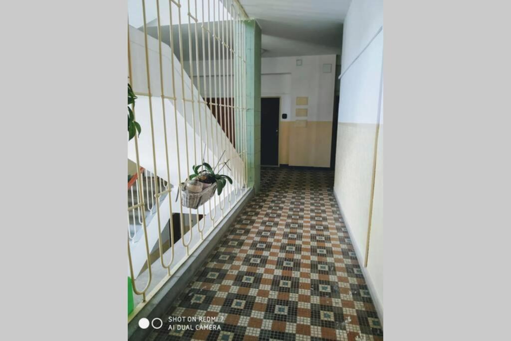 A Cosy Studio In The City Centre 布拉迪斯拉发 外观 照片