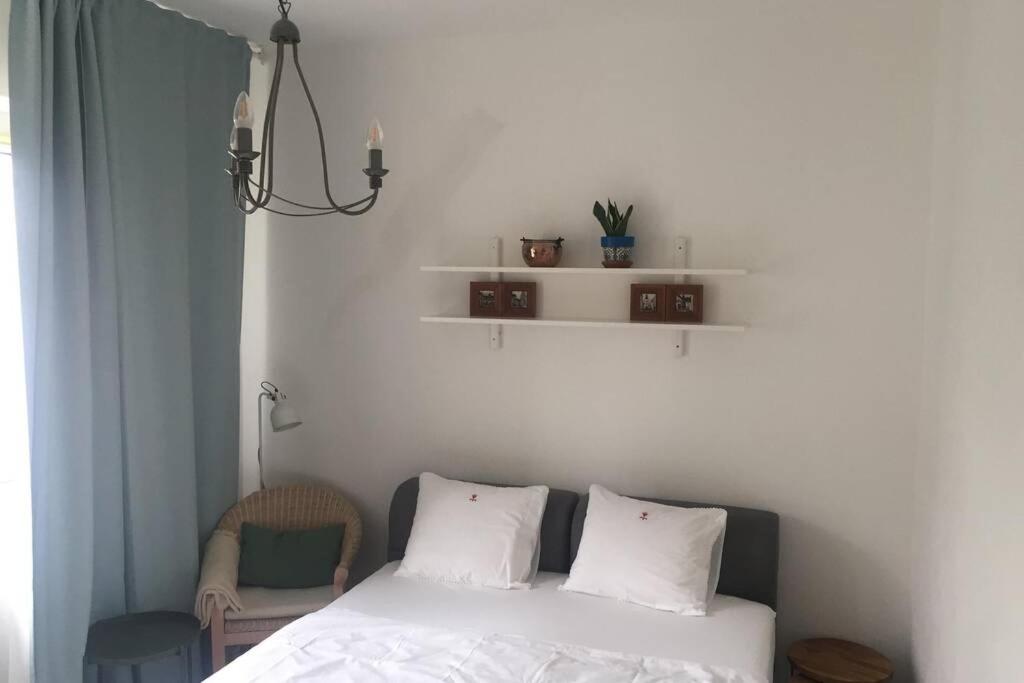 A Cosy Studio In The City Centre 布拉迪斯拉发 外观 照片